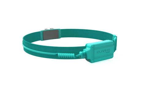HR1 Rechargeable Running Headlamp – 300 Lumens Klarus Headlamps.