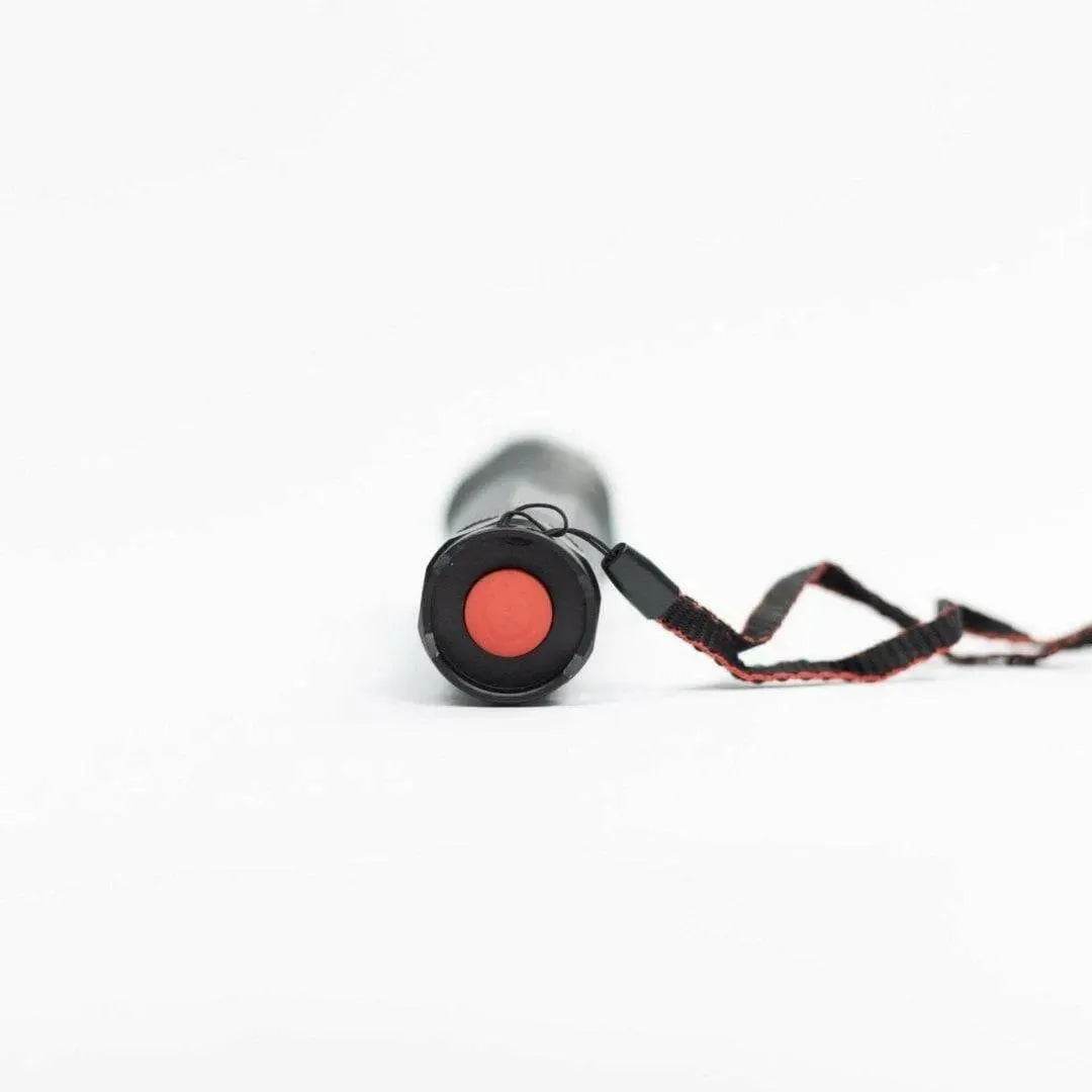 BW1 LED Flashlight by Bright Light – Reliable, Bright, and Waterproof Bright Light LED AA Powered Flashlights.